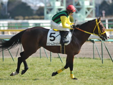 2011/02/13 東京08R
