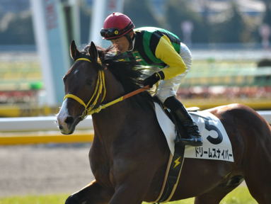 2011/02/13 東京08R