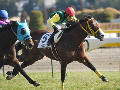 2011/02/13 東京08R