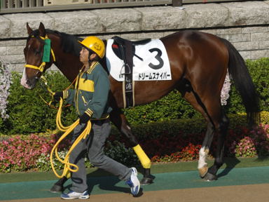 2010/11/28 東京06R