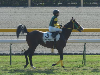 2010/11/28 東京06R