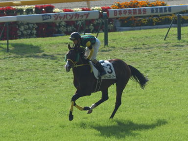 2010/11/28 東京06R