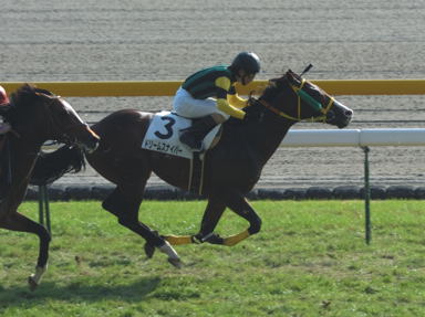 2010/11/28 東京06R