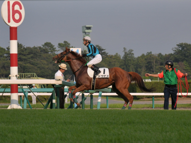 2013/09/07 中山12R