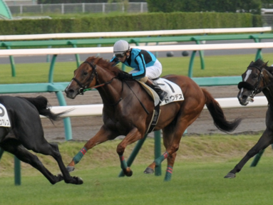 2013/09/07 中山12R
