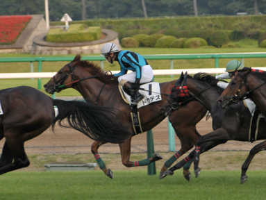 2013/09/07 中山12R