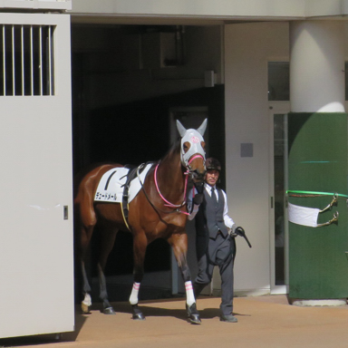 2023/03/11 中山08R