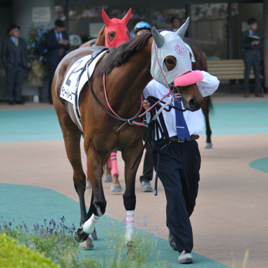 2023/11/05 東京08R