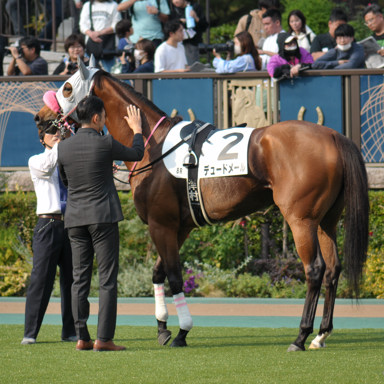 2023/11/05 東京08R