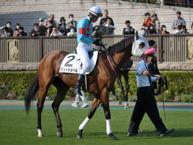 2023/11/05 東京08R