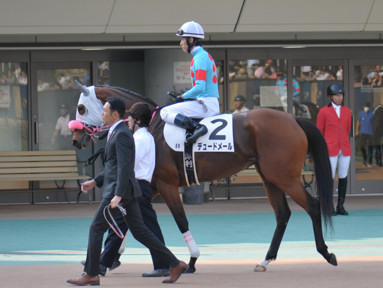 2023/11/05 東京08R