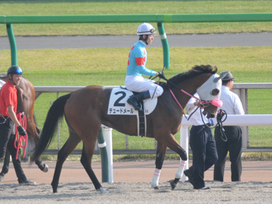 2023/11/05 東京08R