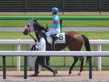 2024/06/01 東京08R