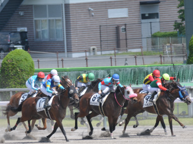 2024/06/01 東京08R