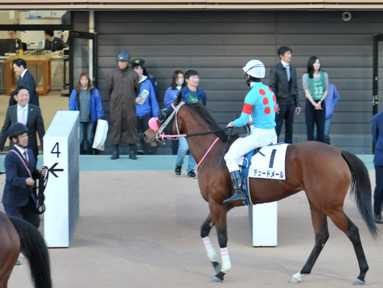 2024/12/14 中山12R