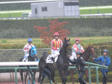 2024/11/02 福島12R