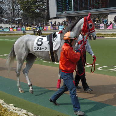 2008/02/23 東京07R