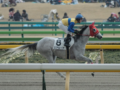 2008/02/23 東京07R