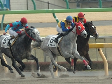 2008/02/23 東京07R