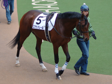 2005/01/29 東京08R