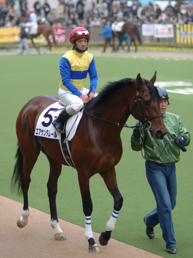 2005/01/29 東京08R