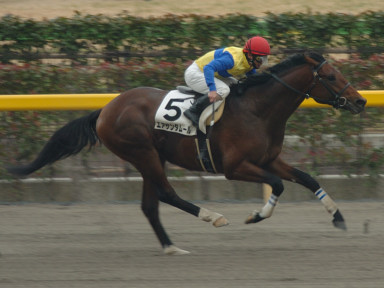 2005/01/29 東京08R