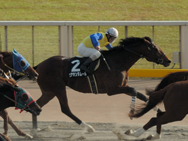 2005/11/19 東京09R