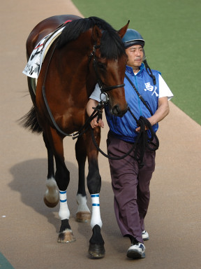 2006/05/06 東京12R