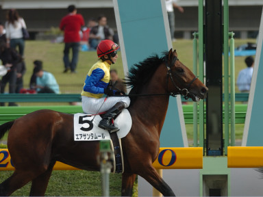 2006/05/06 東京12R