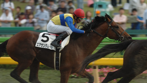 2006/05/06 東京12R
