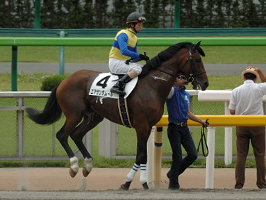 2007/06/09 東京08R