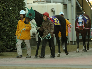 2005/12/23 川崎10R