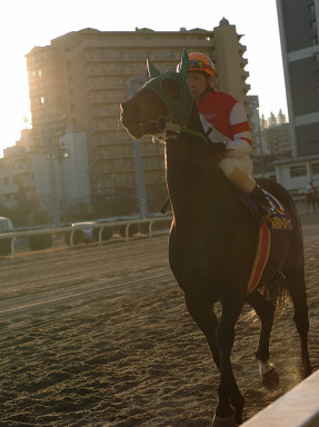 2005/12/23 川崎10R