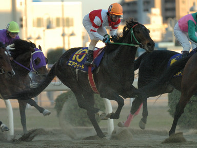 2005/12/23 川崎10R