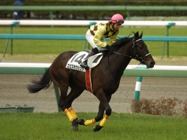 2010/03/28 中山04R