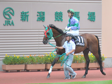 2018/08/26 新潟10R