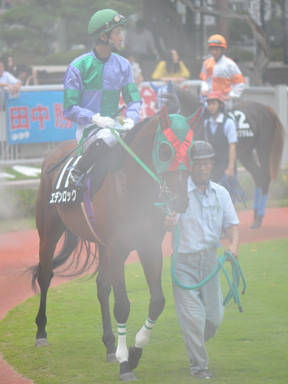 2018/08/26 新潟10R