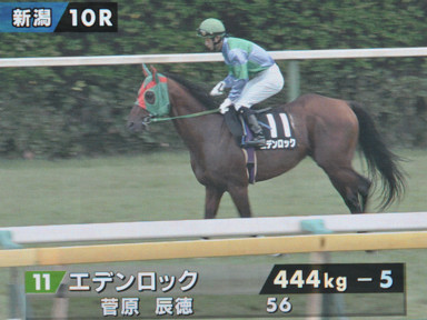 2018/08/26 新潟10R