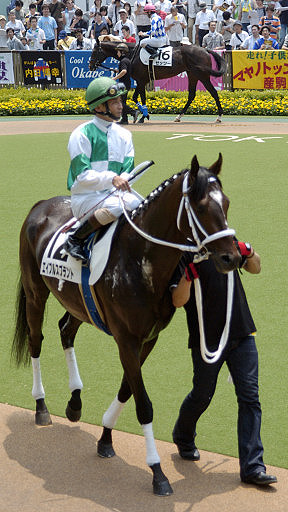 2004/05/30 05R