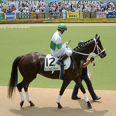 2004/05/30 05R