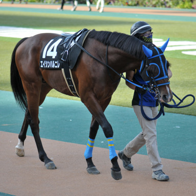 2021/11/07 東京10R