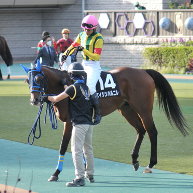 2021/11/07 東京10R