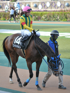 2021/11/07 東京10R