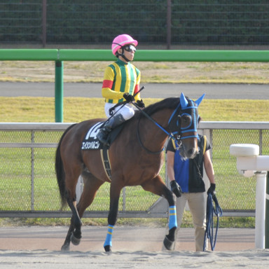 2021/11/07 東京10R