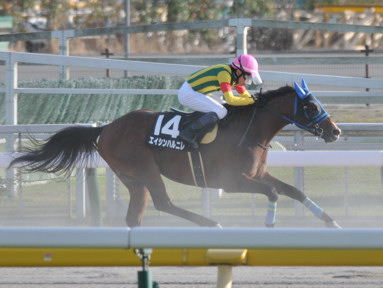 2021/11/07 東京10R