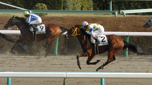 2008/01/26 R07R