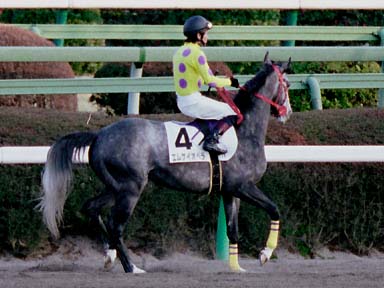 2003/01/18 中山12R