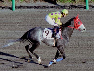 2003/02/01 中山12R