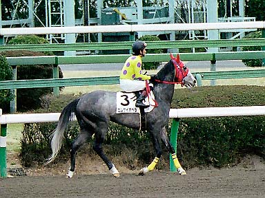 2003/02/22 中山12R