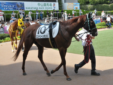 2019/09/22 ���R06R